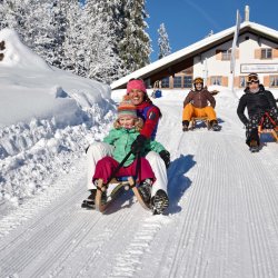 Rodeln an der Hornbahn Bad HIndelang